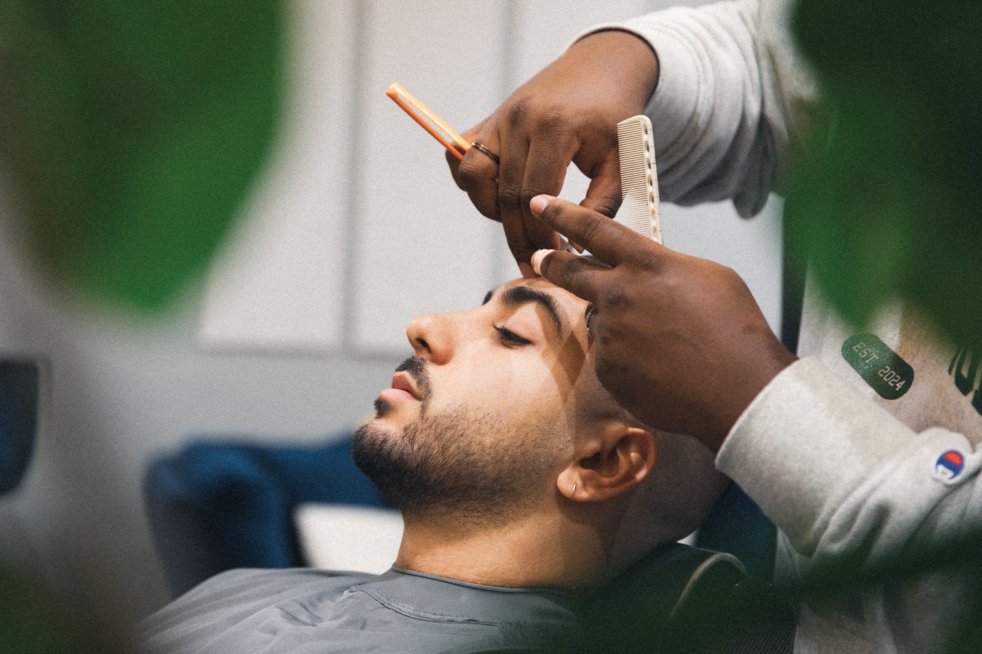 Transformation coloration 1